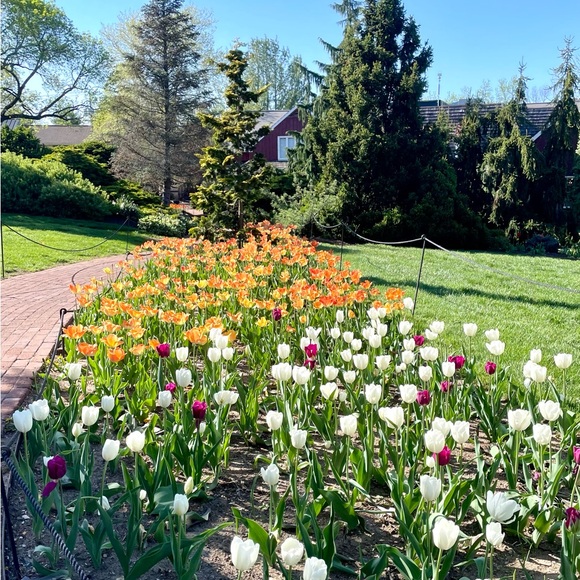 Meet your Posher, Lora - Picture 3 of 4